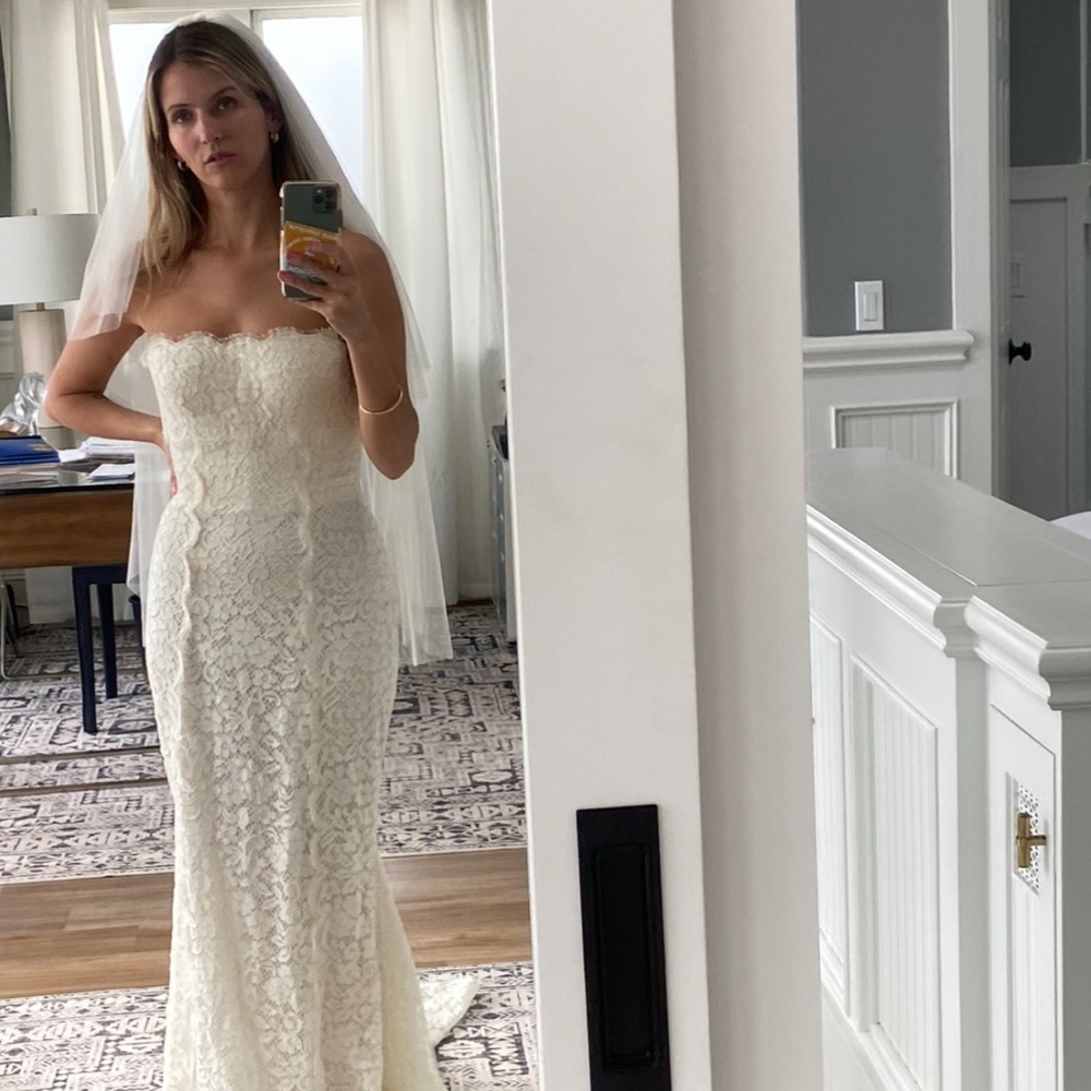 Wedding Dress and Veil